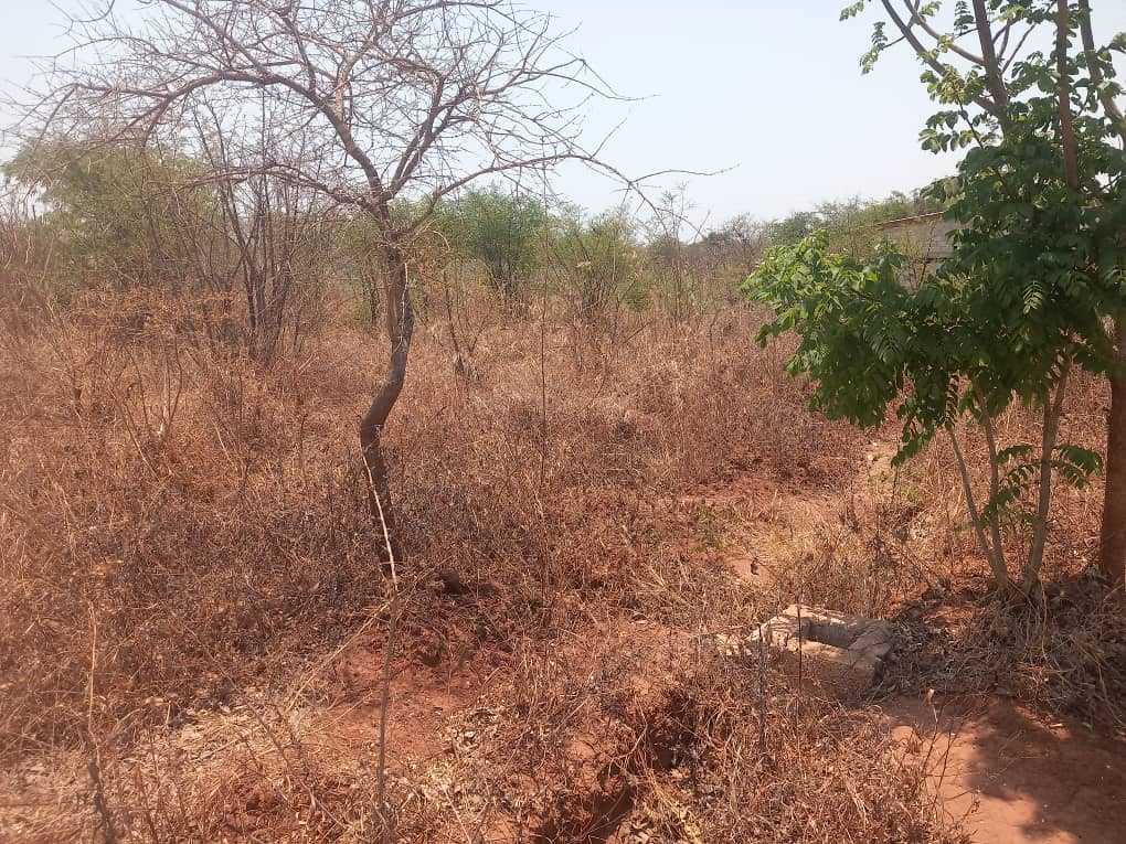A picture of Residential plot 