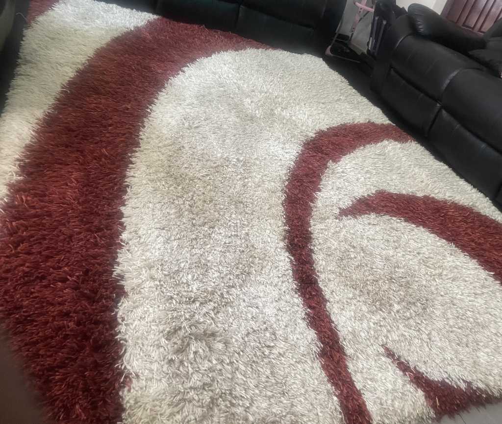 Yard Sale- Extra Large Thick Comfy Carpet For Sale