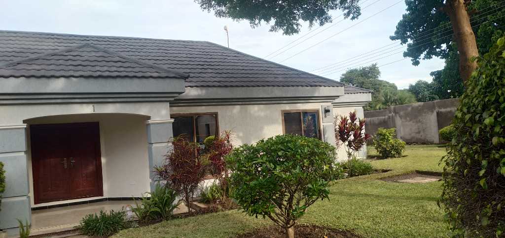 A picture of Fallback enterprise painting service 