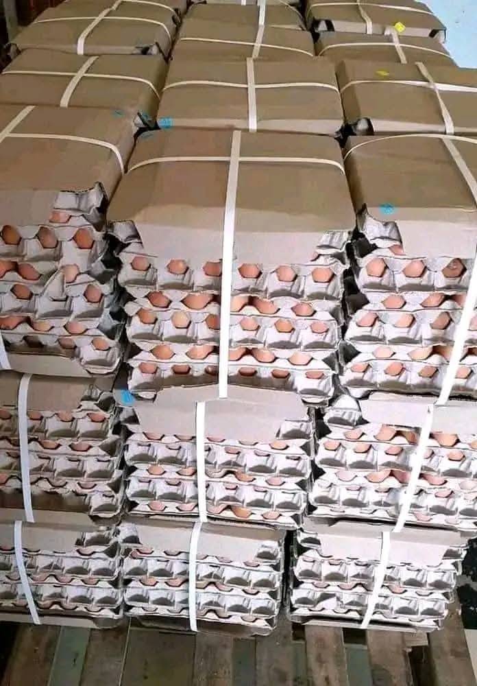 A picture of poultry products