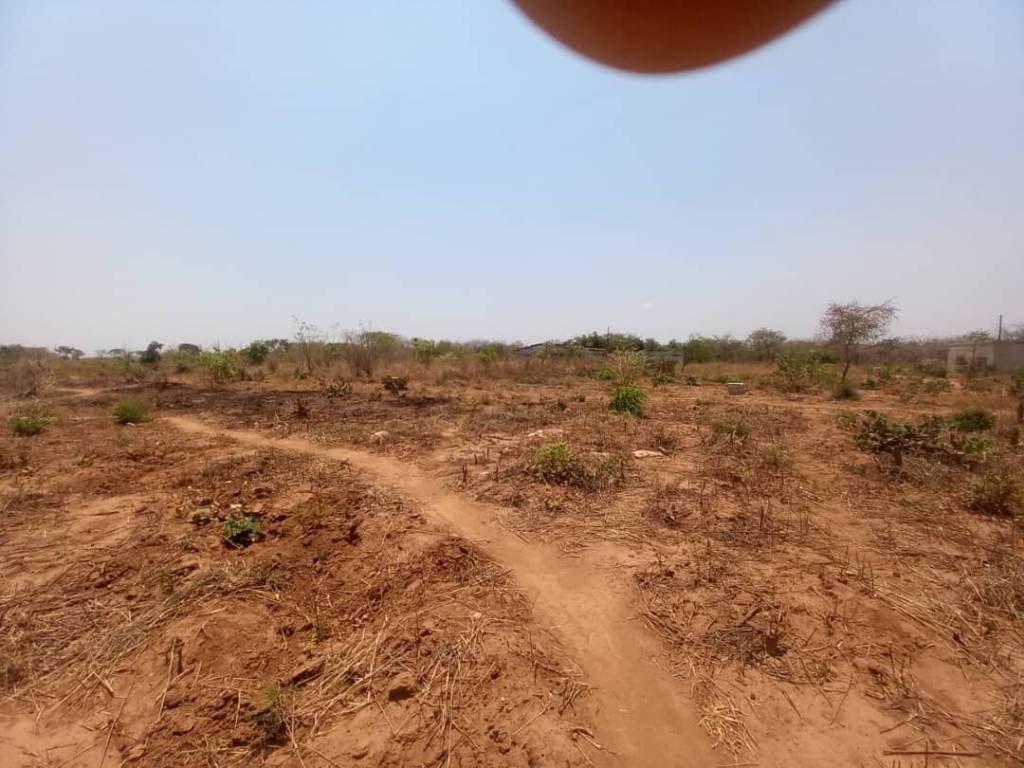 A picture of Residential plot 
