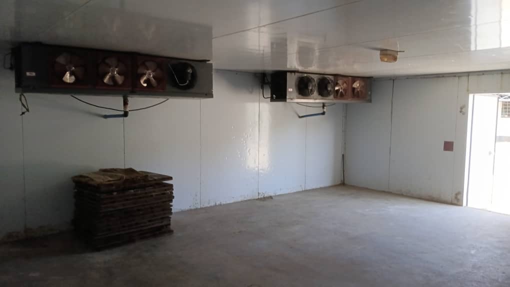 A picture of Blast Freezer Coldroom for sale Perfect working condition