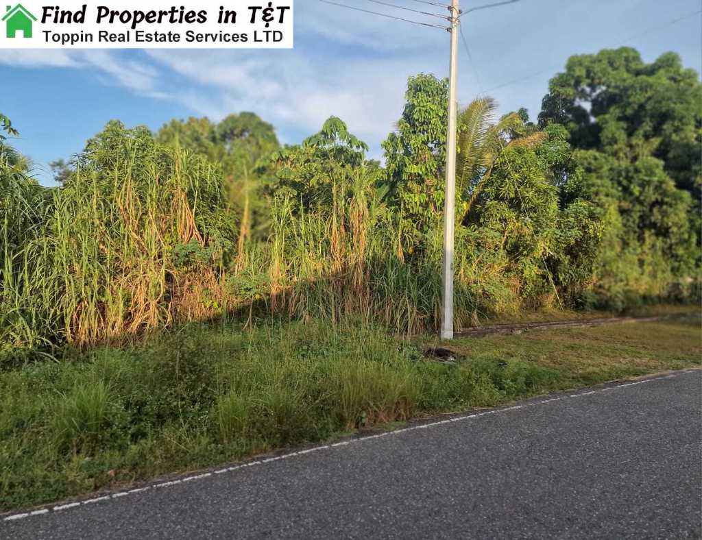 A picture of  Prime Residential Land for Sale in Arima Over 20
