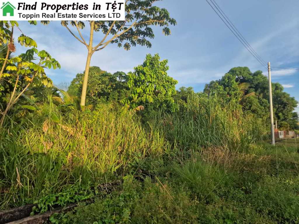 A picture of  Prime Residential Land for Sale in Arima Over 20