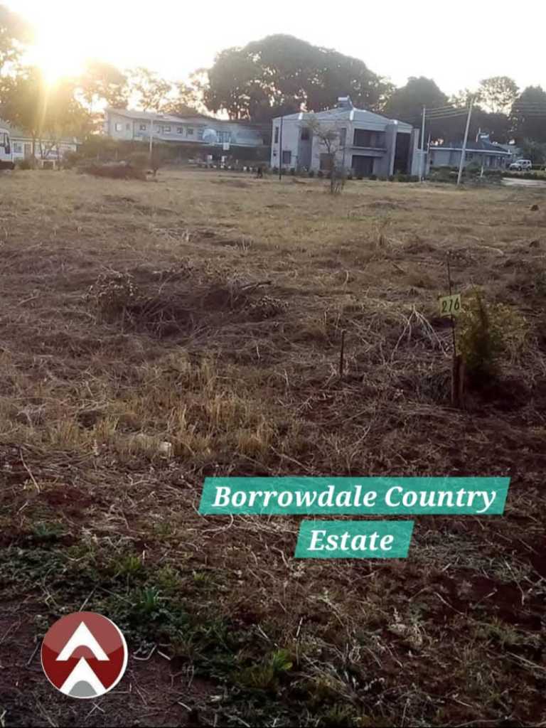 Borrowdale Country Estate Stands 