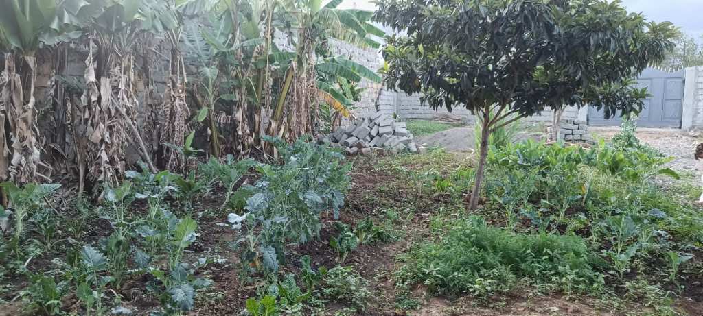 A picture of A prime plot for sale Gilgil Teachers A