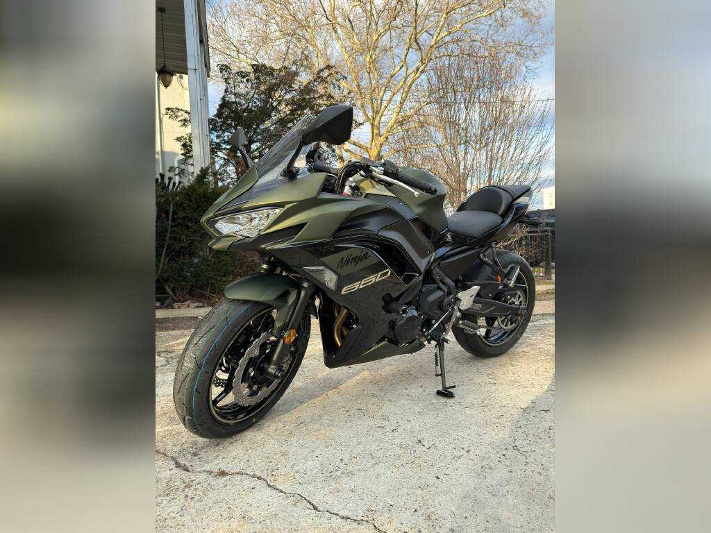 Kawasaki Ninja 2024 for sale