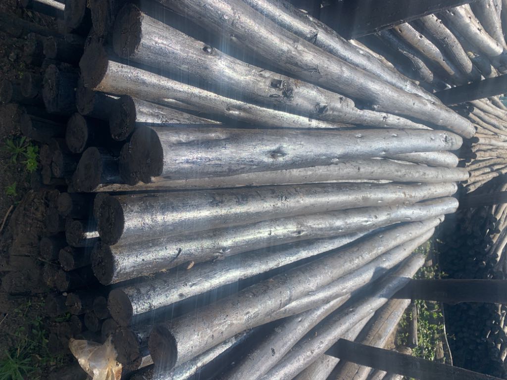 A picture of CREOSOTE WOOD TREATMENT