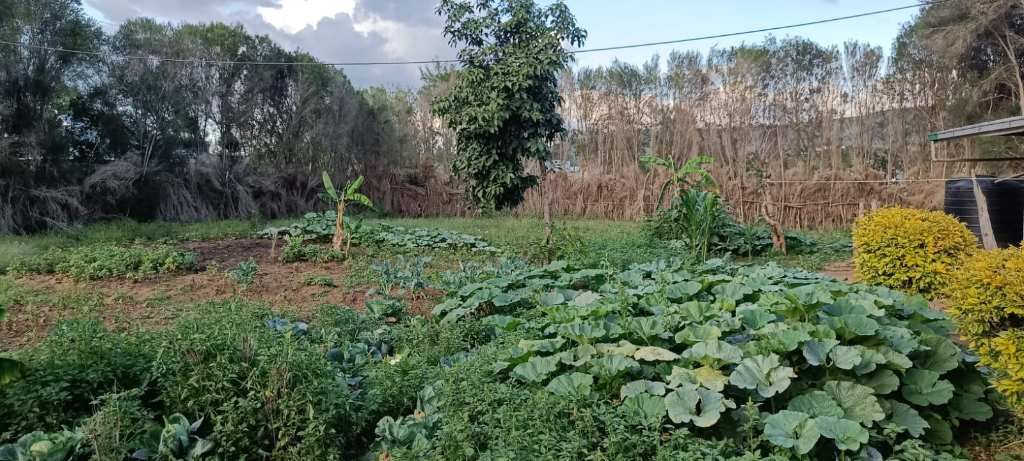 A picture of A prime plot for sale Gilgil Teachers A