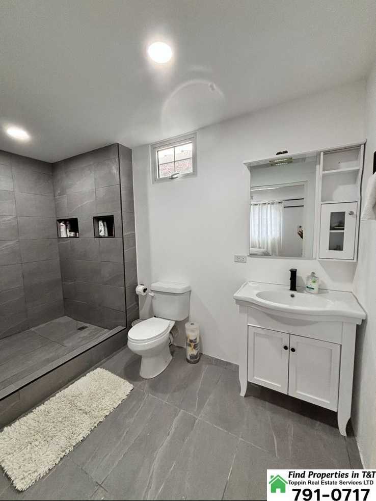 A picture of CARNIVAL RENTAL BLUE RANGE DIEGO MARTIN 4 000 USD