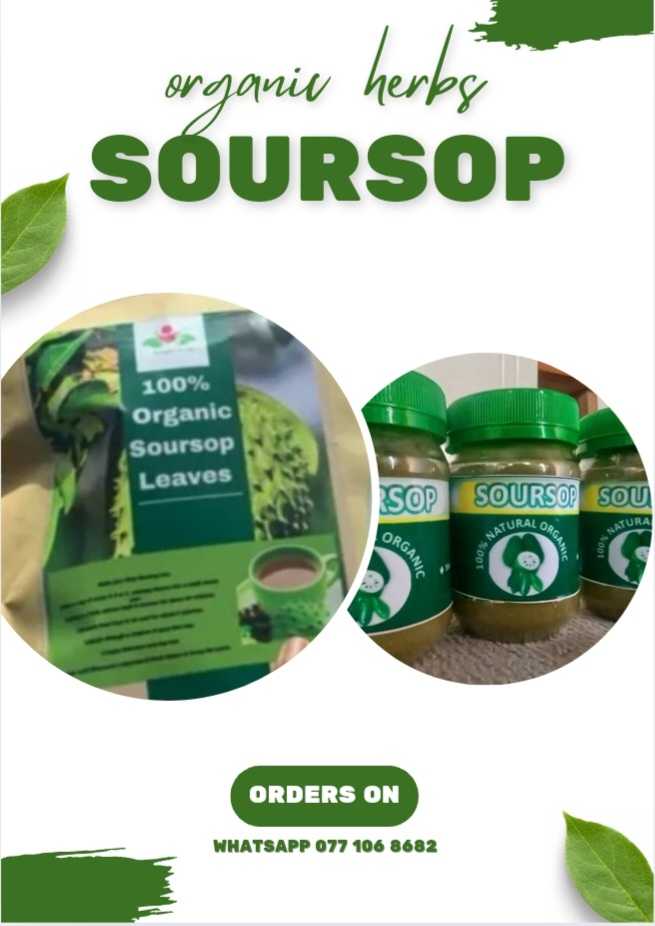 Soursop Graviola Powder and Leaves 