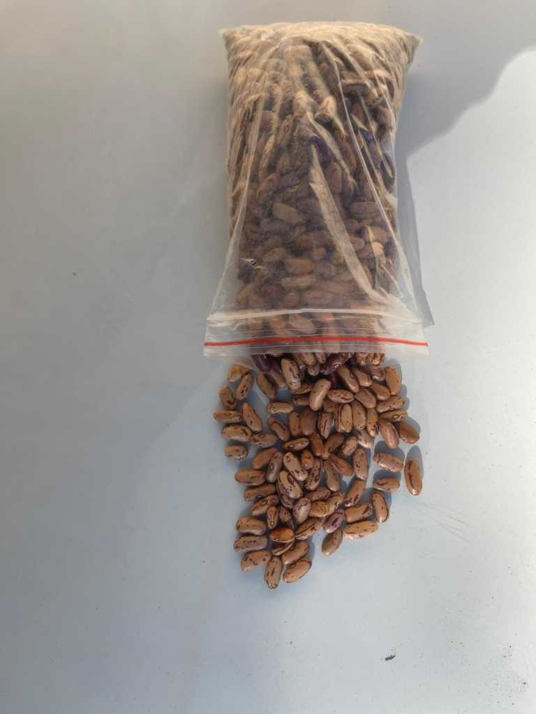 A picture of sugarbeans