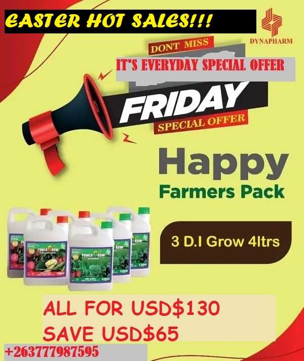 A picture of EASTER SPECIAL HOT DEALS 