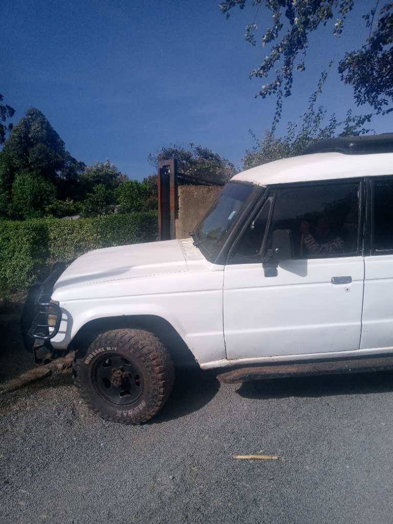 A picture of Mitsubishi pajero