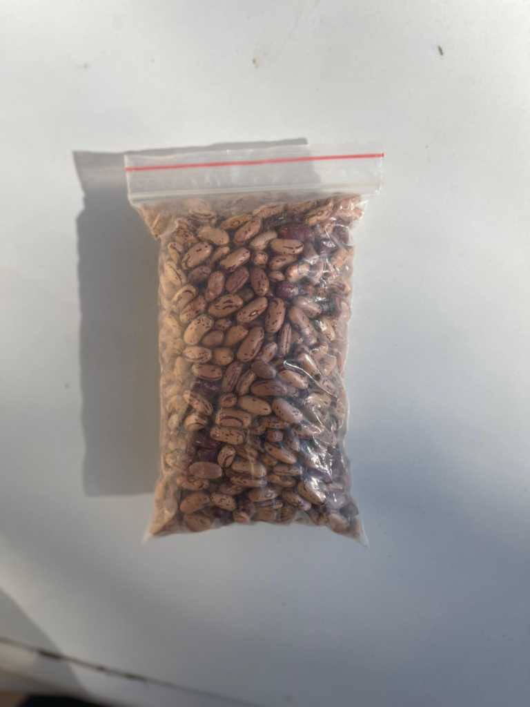 sugarbeans