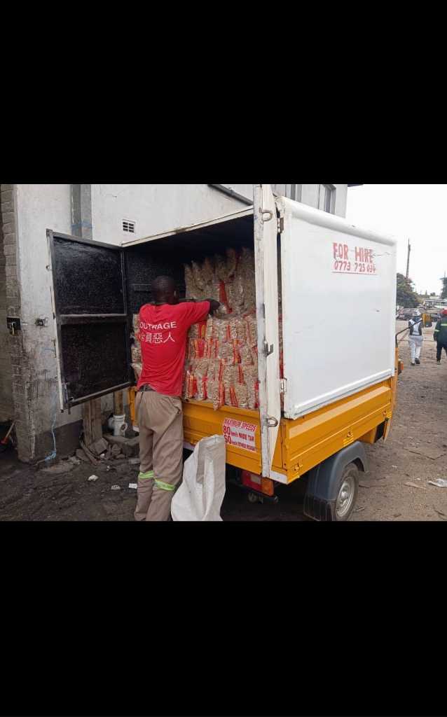 A picture of Urban Toy Transport