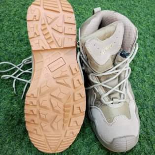 A picture of Shoe