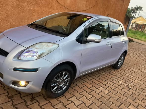 A picture of Vitz