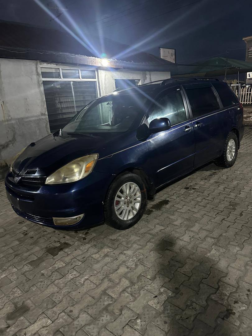 A picture of 2006 sienna
