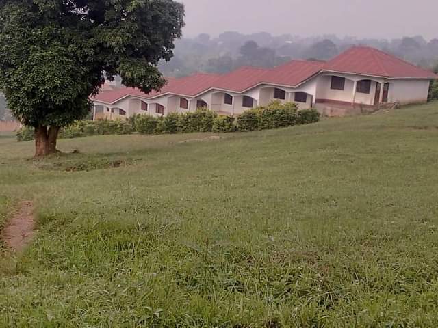 A picture of plotsofland