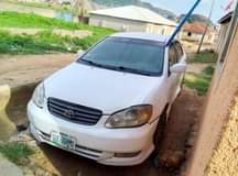 A picture of Toyota Corolla spots 04