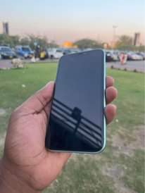 A picture of Iphone 11 plain