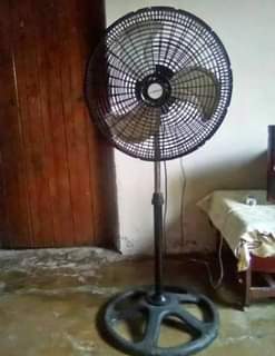 A picture of Sabufa na feni