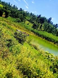A picture of LAND FOR SALE