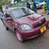 A picture of Vitz