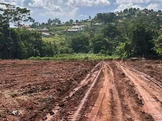 A picture of 50by100 plots for sale at 27millions. In Wakiso namusera with