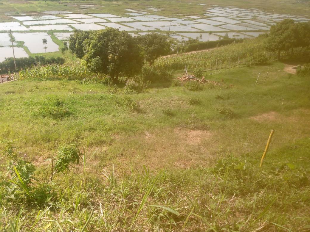 land
