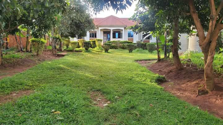 houses munyonyo