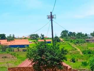 A picture of Cheap plots