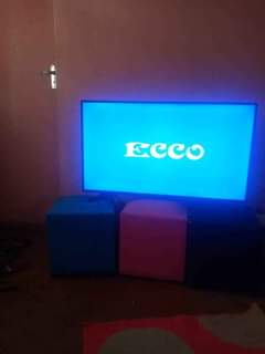 ecco