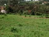 A picture of Plots for sale at Kitende Buswa u branch off frm