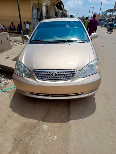 A picture of Direct bugumi standard First body Original duty Perfectly Location Bauchi