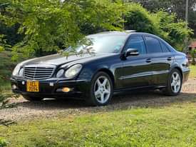classifieds/cars mercedes