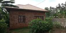 A picture of Quick sale house at 14.5 m shs Kawanda