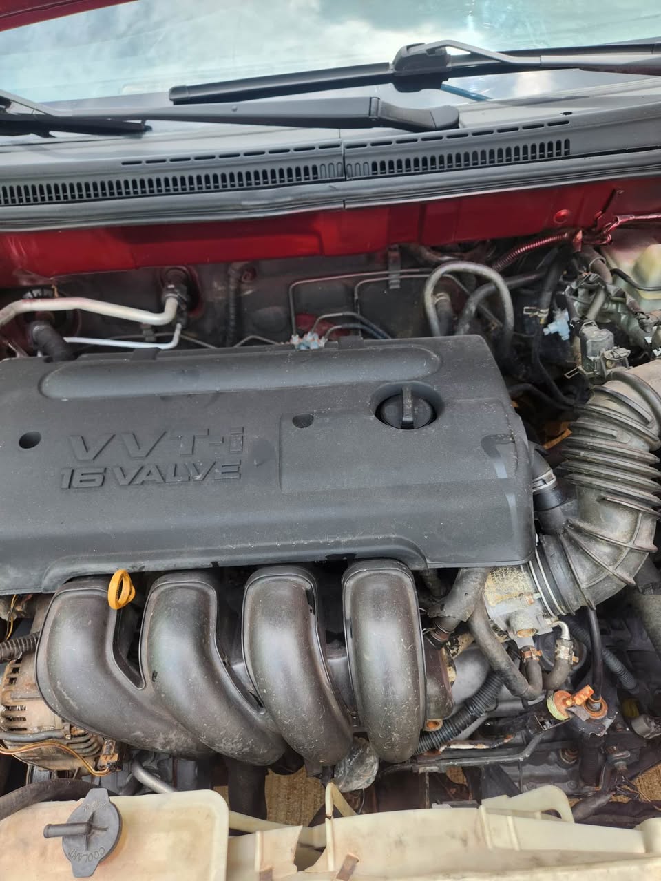 A picture of 2006 Toyota Corolla Everything bless Buy and travel 4 7m