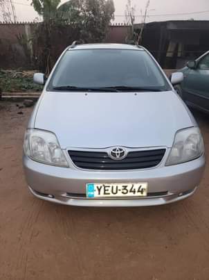 A picture of Toyota corolla wagon