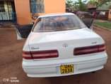 A picture of Perfect Mark 11 on sale at only 6.7m