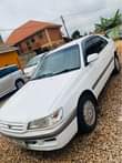 A picture of Premio ordinary