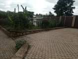 A picture of 3 Rental Houses for sale in Seeta Bajjo for 275M