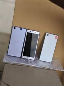 A picture of Sony ace