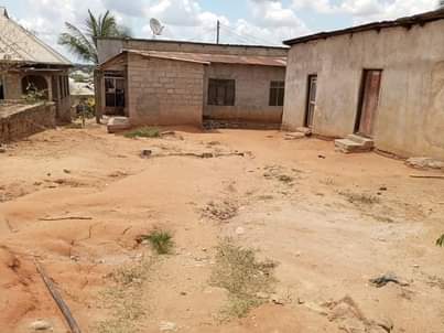 A picture of PANAUZWA PRICE MILION 8 5