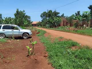 A picture of QUICK SALE IN WOBULENZI BUKALASA BRAND NEW SITE 12M KYAPPA