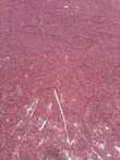 A picture of Maharage