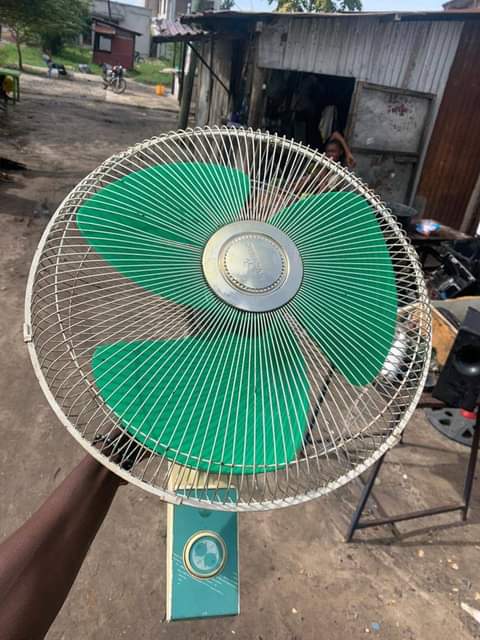 fans