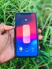 A picture of iPhone 11 plain