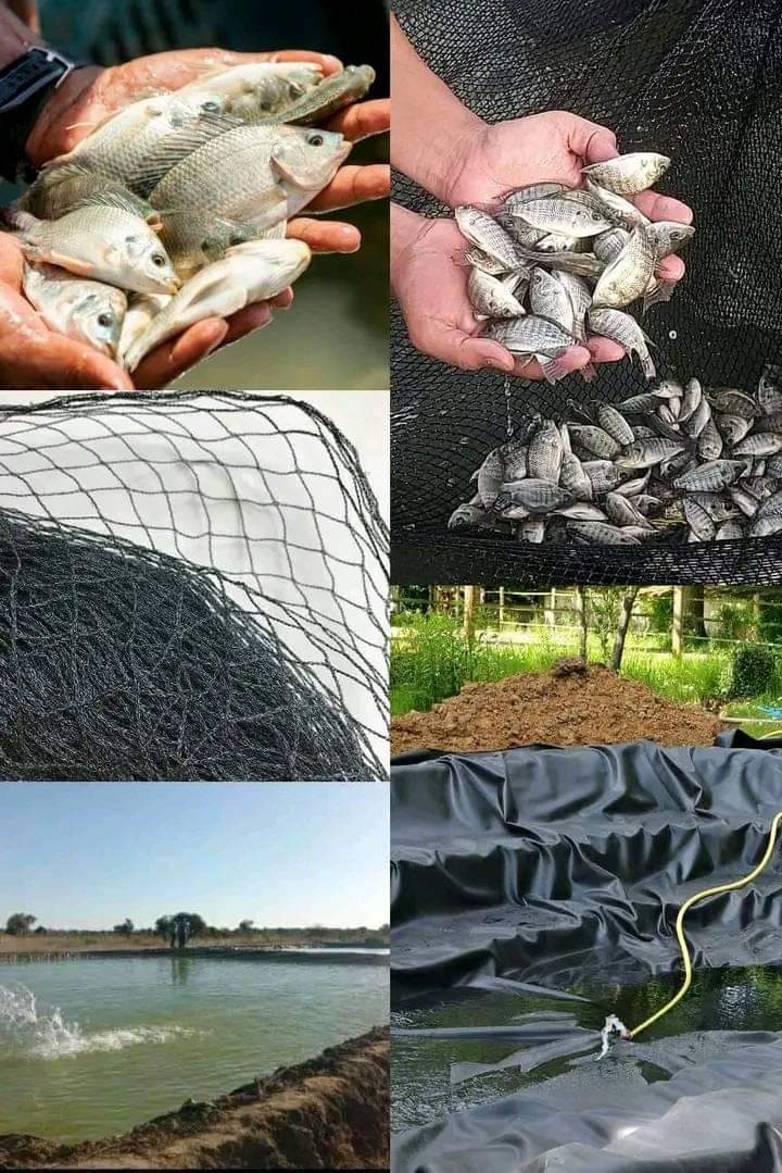 farming